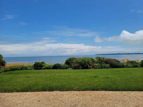 Did you remember to fertilize?