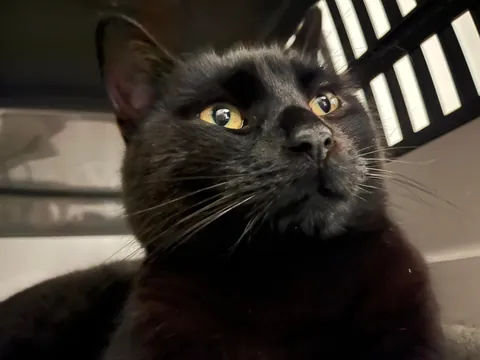 What’s on your mind?