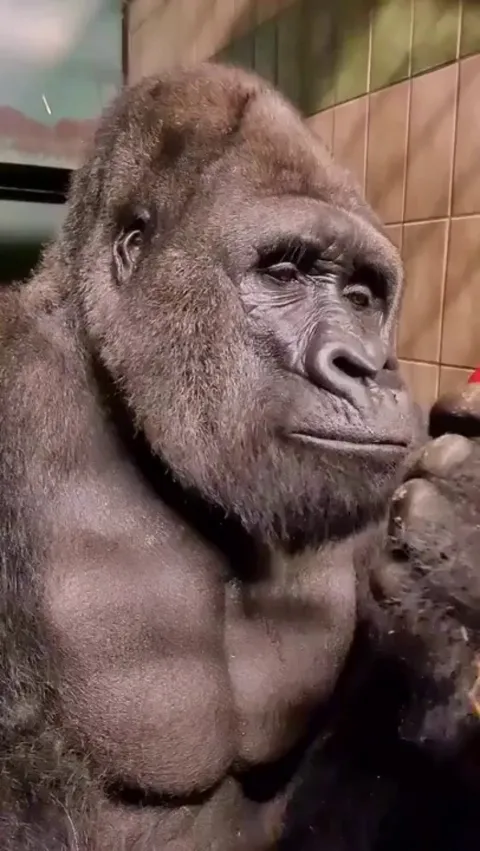 Tasting a bell pepper