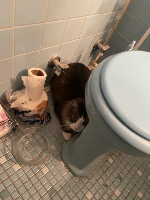 Shell shocked guy recovering from a hoarding situation