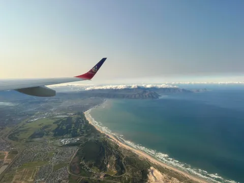 Cape Town is my new favorite city 🇿🇦