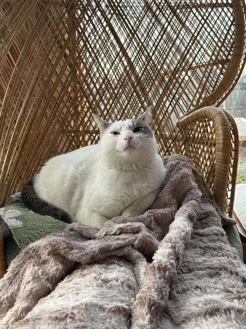 We rescued him two months ago.  I think he loves it here.