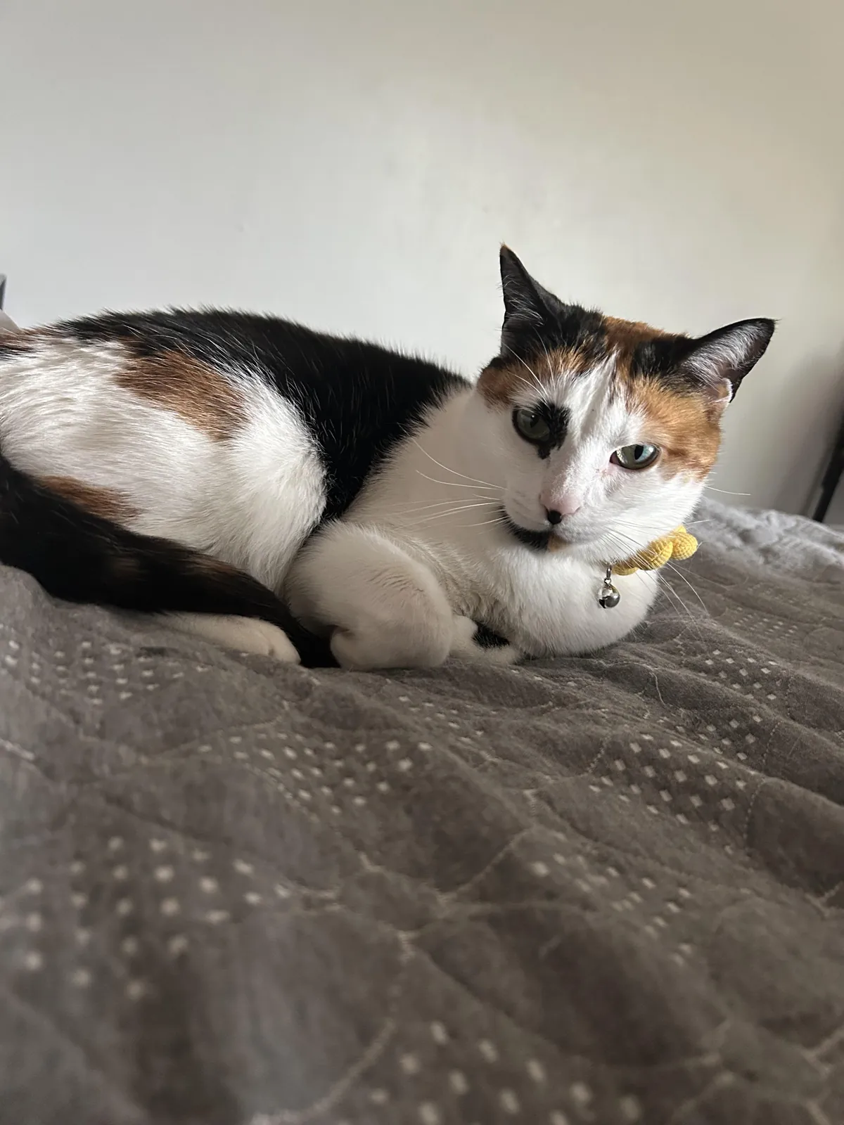 What name would you give her?