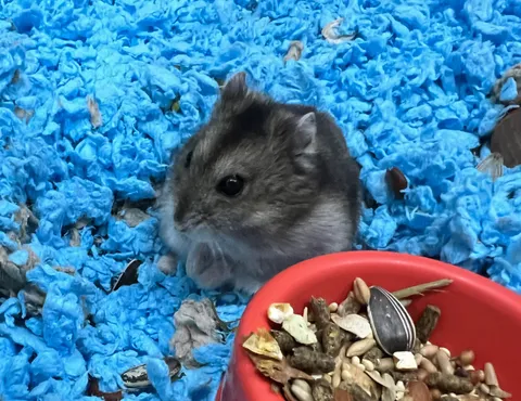 Nearly one year and 7 months free of self harm!