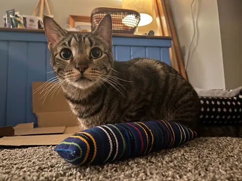 My bubba passed away suddenly.