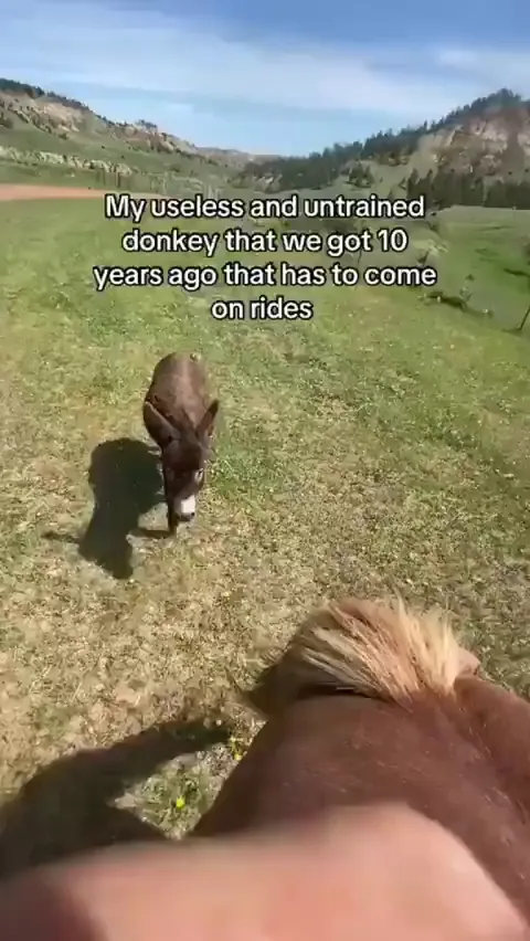 🫏: “this whole unit would fail without me” 😂