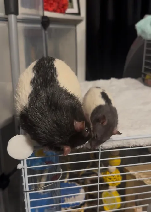 Our biggest and our littlest 🥹