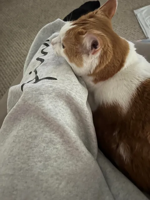 I lost my Baby, I’m heartbroken