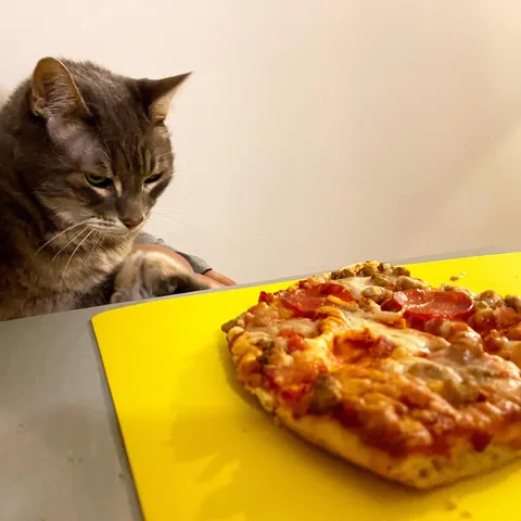 Pizza quality inspector 🍕