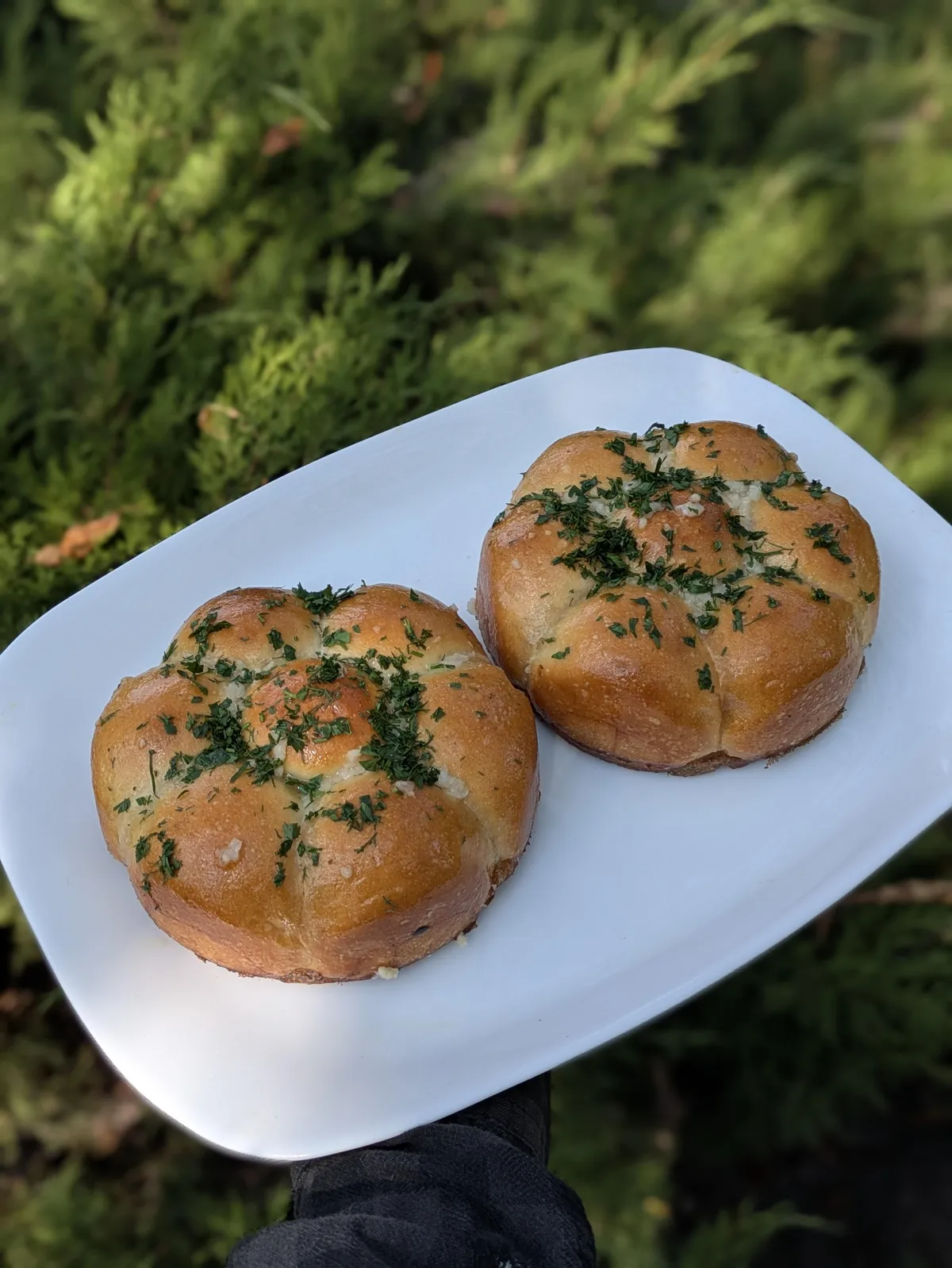 [homemade] small batch of garlic bread rolls)
