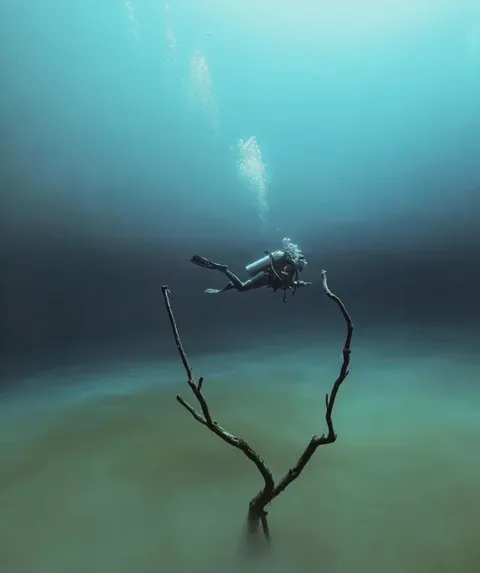 strange natural event