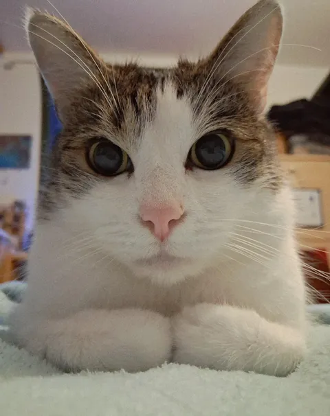 He hates that he's so CUTE 😍