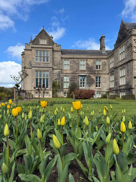 My trip to Ireland (Dublin, Killarney, and Galway)