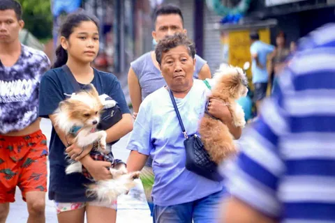 No Pets Left Behind 🐾❤️