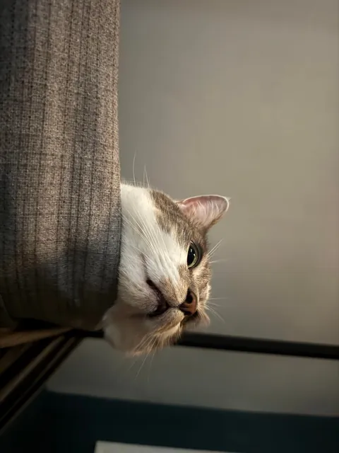 “You up yet? I’m hungry.”