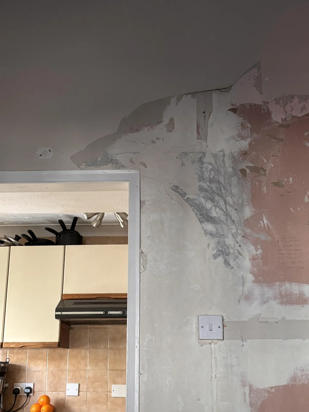 My ripped wallpaper looks like a very good boy