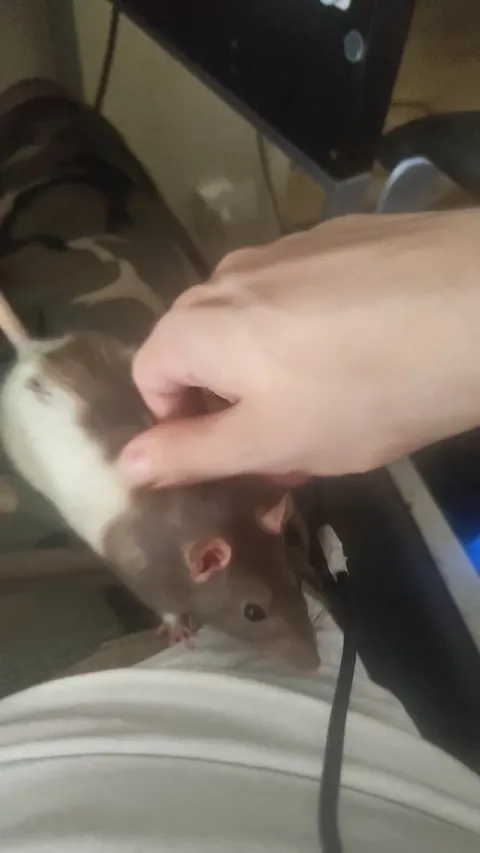 Why does she vibrate and tense like that