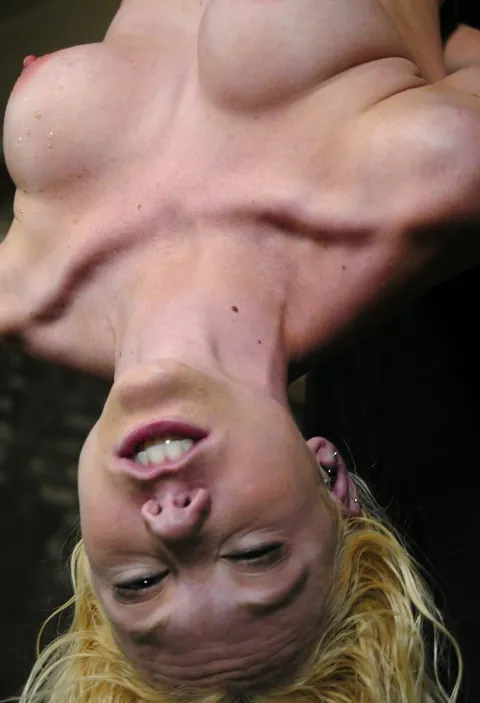 Inverted Vertical Spit Toast