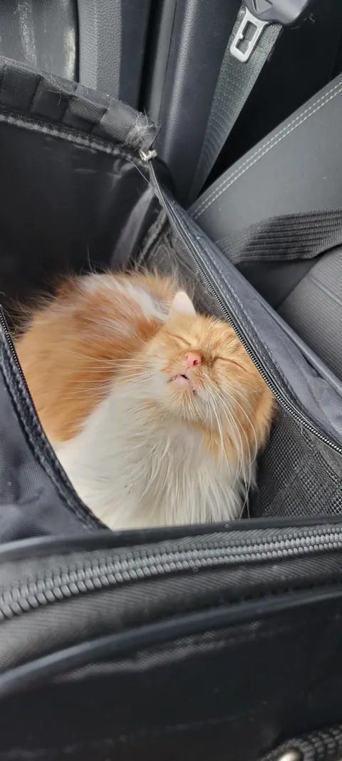 Woke up this morning and she was gone.