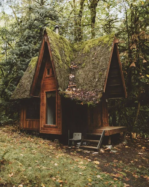 Fairy tale cabin in the woods