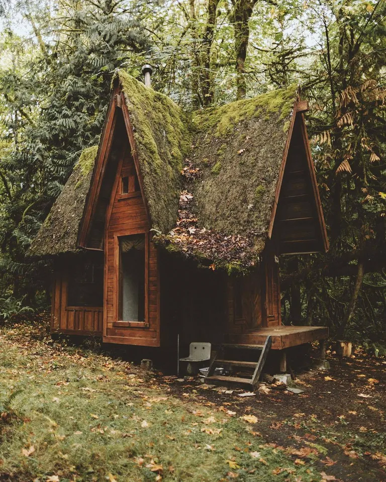 Fairy tale cabin in the woods