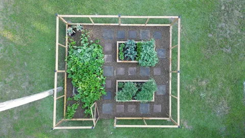 My first crack at gardening