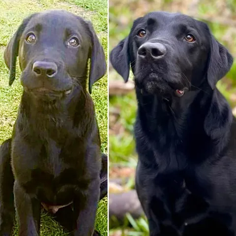 Almost 9 years later and he hasn’t changed a bit! 