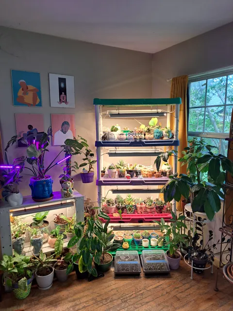 My corner of peace