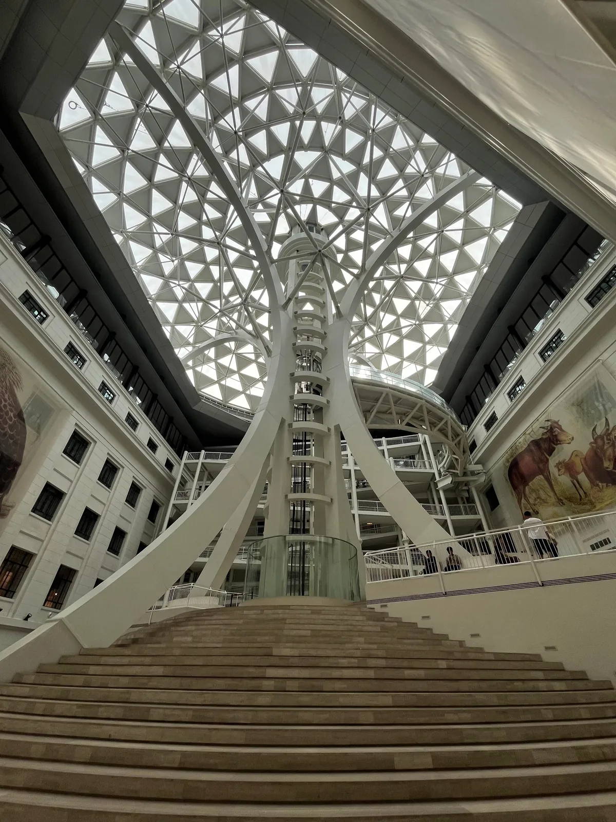 Had  9 hours layover in Manila and still managed to explore Intramuros and National museum of natural history completely