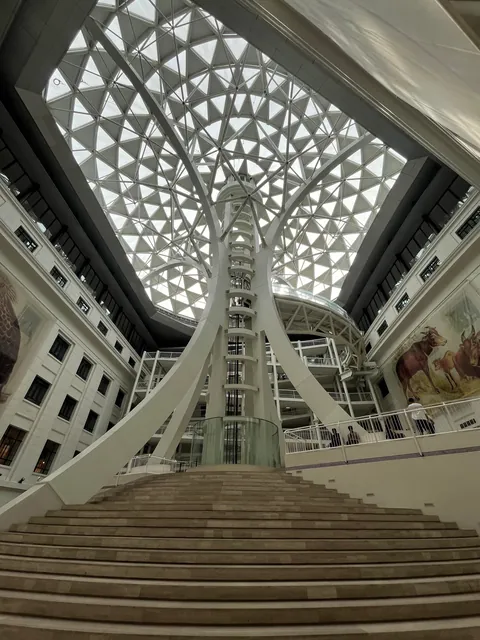 Had  9 hours layover in Manila and still managed to explore Intramuros and National museum of natural history completely