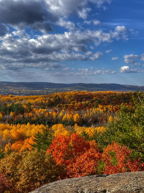 Lanark Highlands, Ontario Canada [3024x4032] (OC)