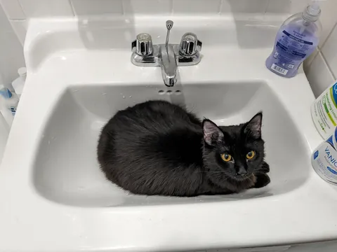 I'm overdue to share my baby, Nessa