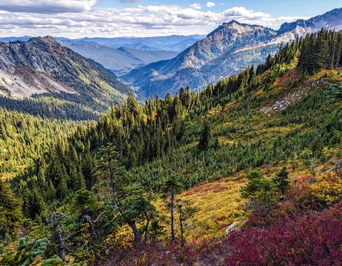 Autumn Layers in Mount Rainier National Park, Washington, USA [OC][694x540]