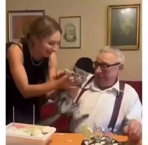 They got papa a cat and he loves it