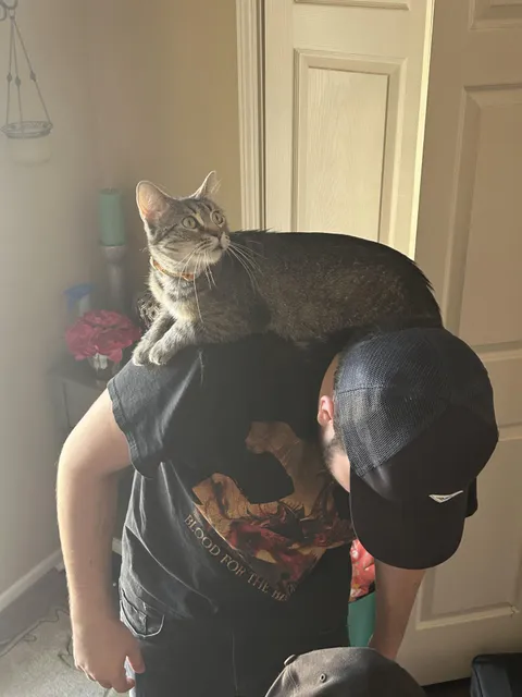 This is the first time my cat has met my boyfriend. Needless to say she approves!