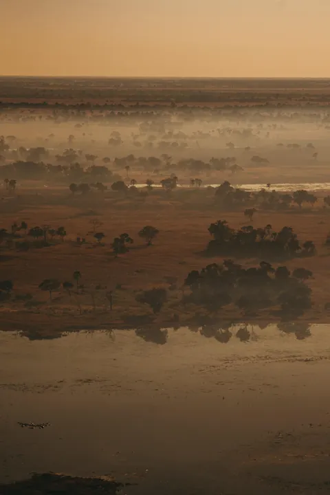 Took a scenic flight over the Okavango Delta in Botswana