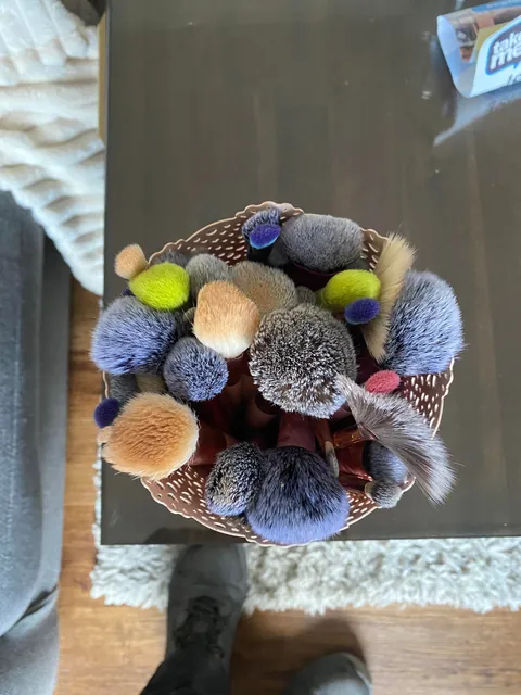 Cleaned my gfs brushes and they look amazing