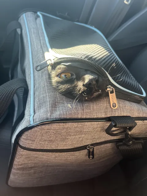 He’s so excited to move!!