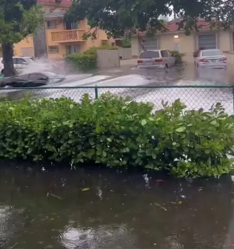Miami + Flooding = IdiotsInCars