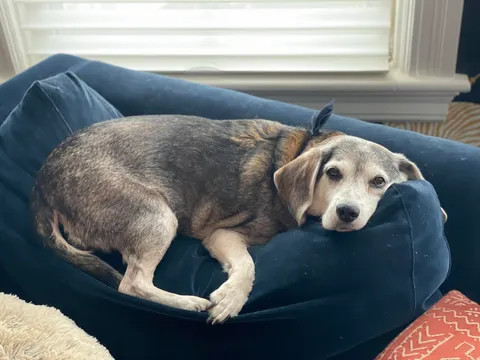 Going to be 17 this year. Rare to me.