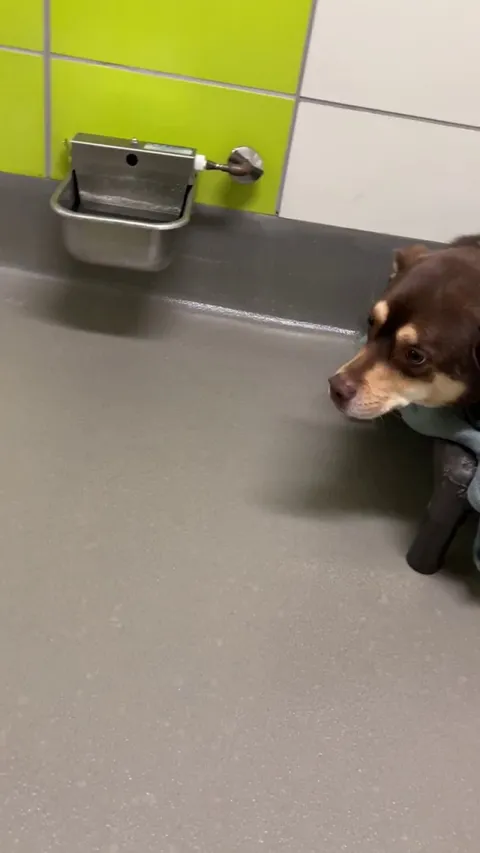 Benjamin would appreciate it if you could all acknowledge how awesome his toy is.