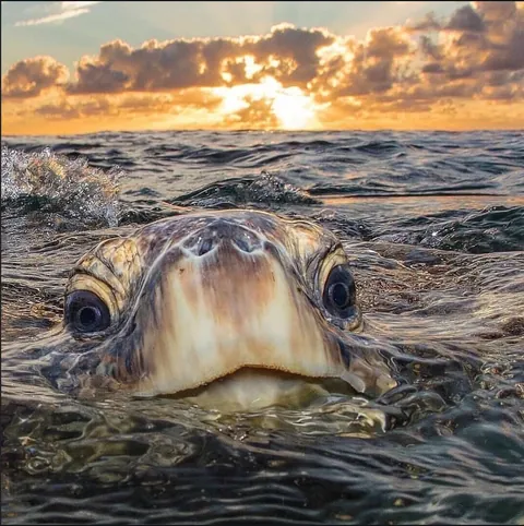 🔥 Coming Up for Air 🔥