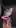 What the gym security cameras see in between my sets