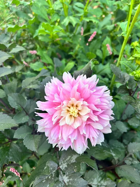 Reaping what I sowed as they say.