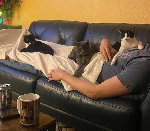 All 3 cats are on my husband which means zero cats are on me. This should be illegal.