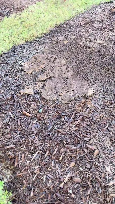 These are so much fun. Part 2.