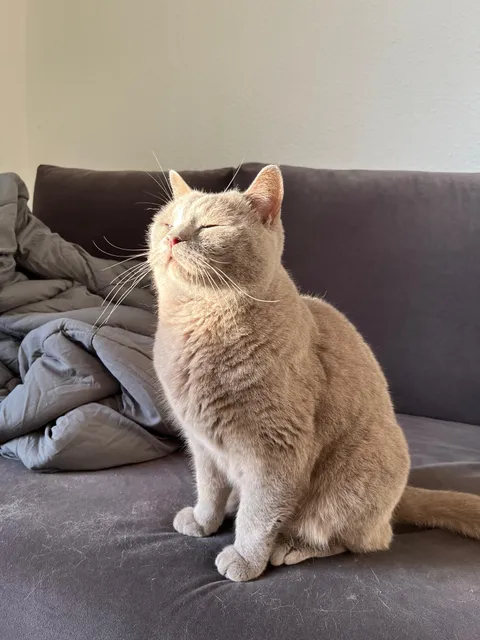 My man loves him some morning sun