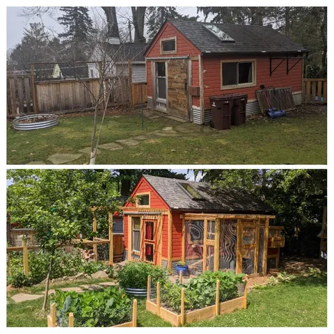 My first year gardening -- here is my covid project, complete with chickens.