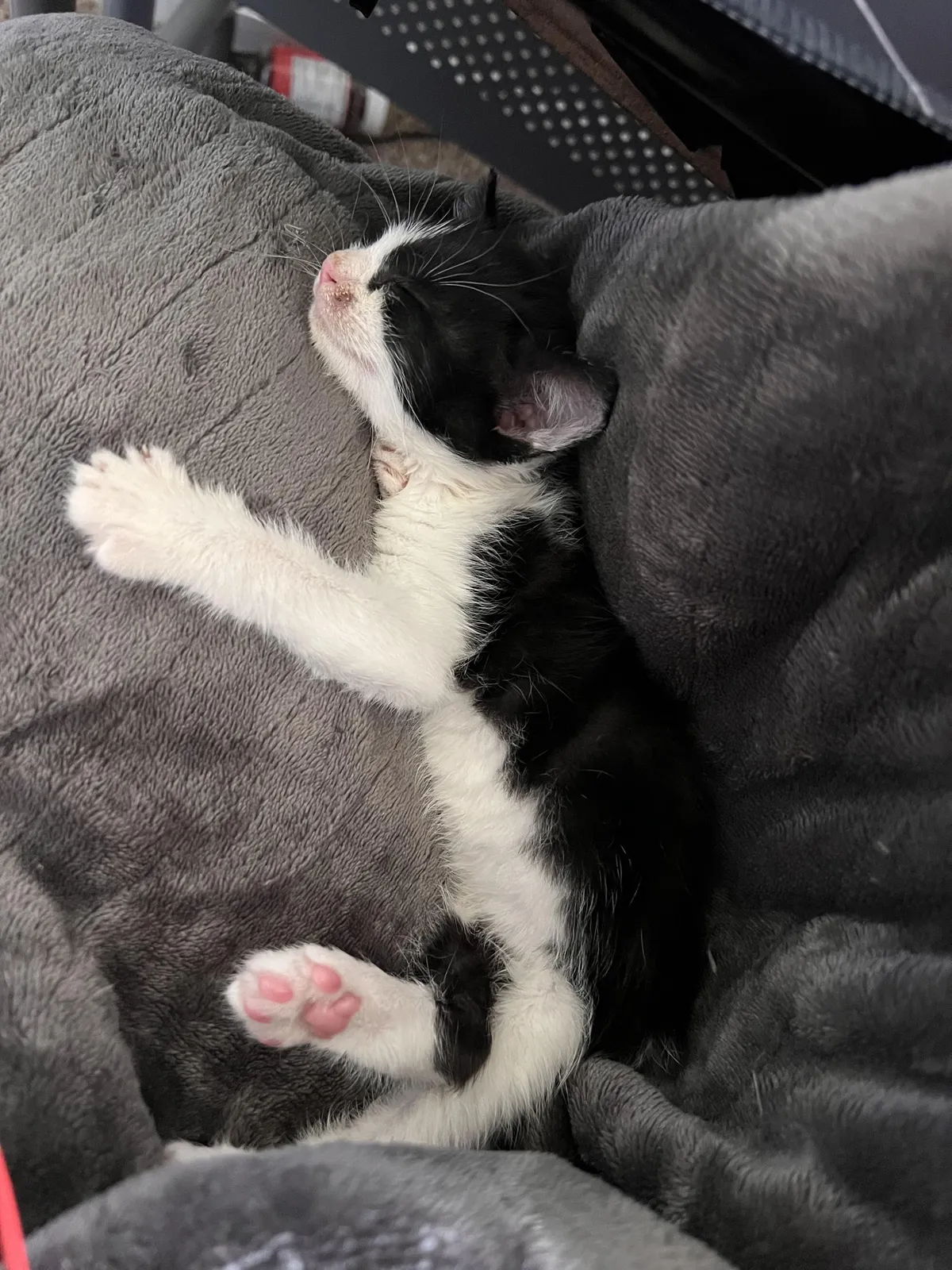 Male names that start with “L”