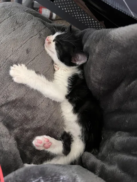 Male names that start with “L”